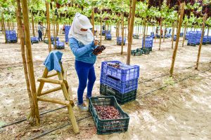 Más herramientas para acelerar el desempeño de los trabajadores