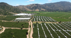Transformación de Hacienda Los Quillayes con Telemetría WiseConn