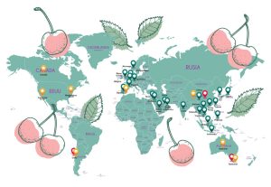 Los desafíos para la cereza chilena en los ojos de ‘Cherry Traveler’, el itinerante de la fruta de calidad