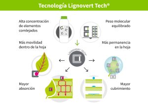 Bioestimulantes, elementos clave en la agricultura de precisión