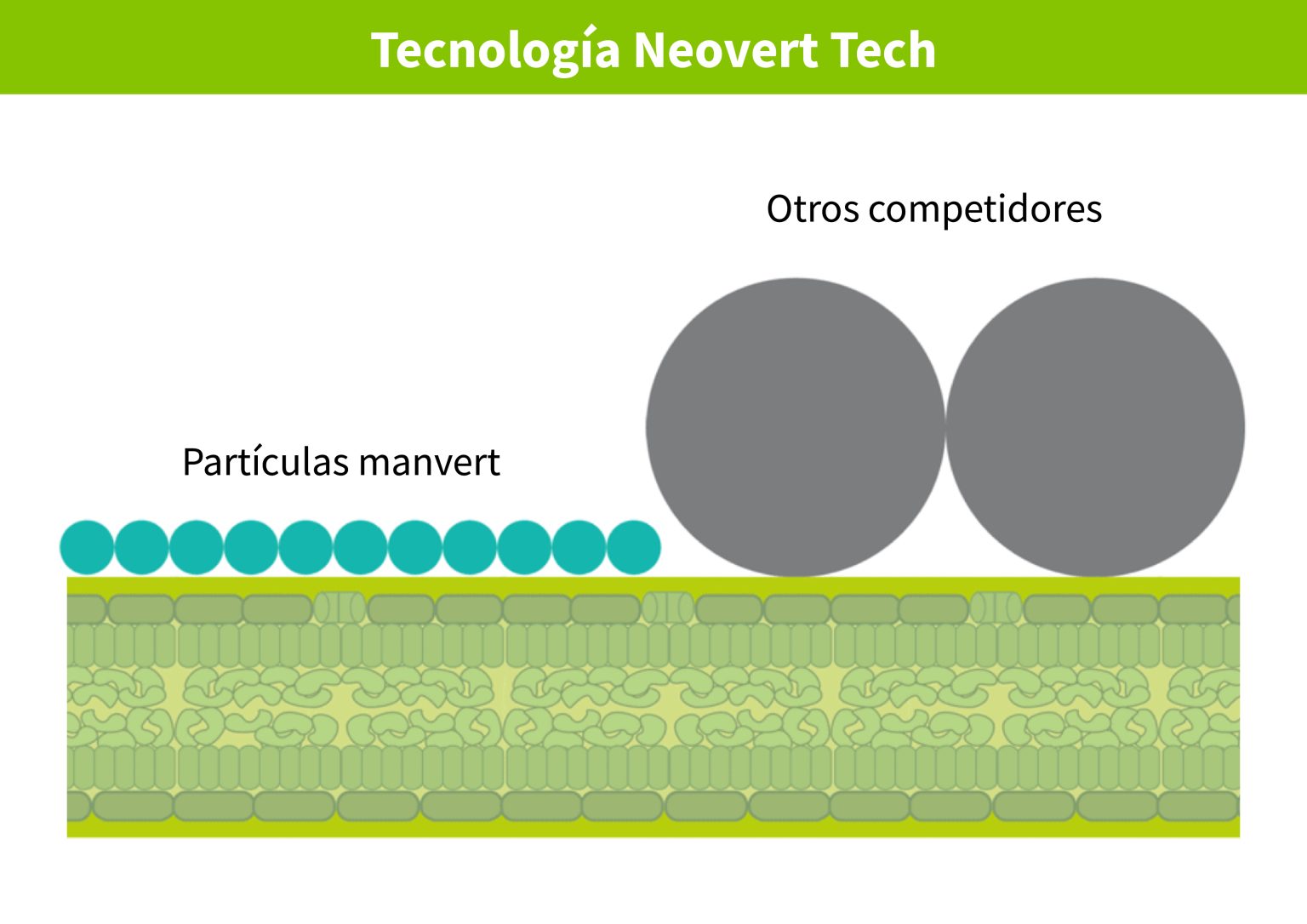 Bioestimulantes, elementos clave en la agricultura de precisión ...