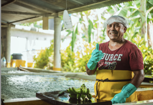 Desafíos comerciales y retos fitosanitarios, entre los temas que abordará el Congreso Bananero
