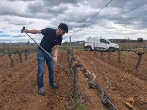 La revolución subterránea de Futureco Bioscience: una plataforma metagenómica para optimizar el microbioma del suelo