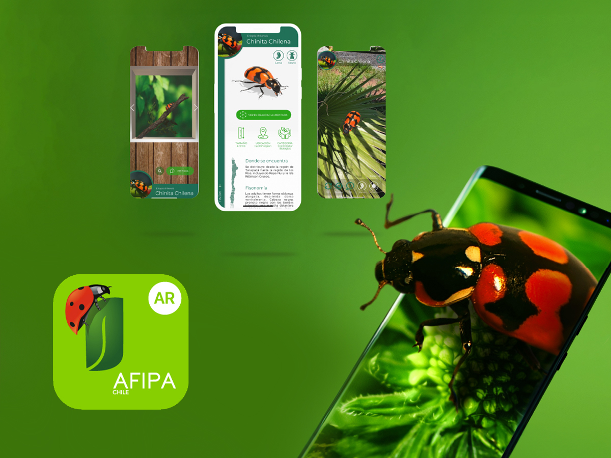 Lanzan aplicación que permite diferenciar insectos plaga de ...