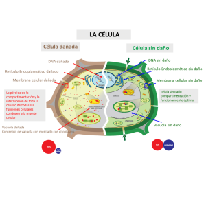 CROP+, el aliado nutricional para combatir el estrés abiótico de las plantas