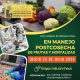 CEPOC realizará Diplomado Internacional en Manejo Postcosecha de Frutas y Hortalizas