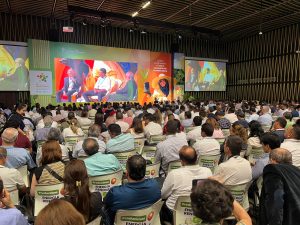 El aceite de palma es el quinto producto agrícola que más exporta Colombia