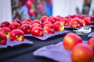 Industria de la manzana está preparada para enfrentar las lluvias