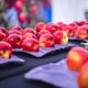 Industria de la manzana está preparada para enfrentar las lluvias