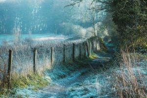 Fenómeno de La Niña: lo que viene son heladas intensas y extensas