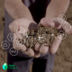 Soluciones pioneras para el desarrollo de una agricultura sustentable