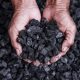 Biochar, el material que promete eliminar los metales pesados de los suelos del Perú