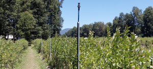 Métodos de riego y relevancia de los equipos de monitoreo