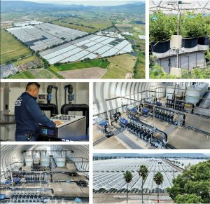 Fertirriego a la medida para cada proyecto