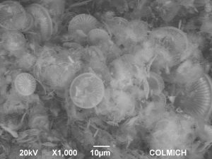 Diatomeas en la Agricultura