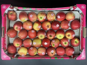 Pink Lady buscará conquistar paladares de China