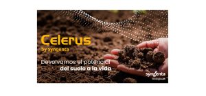 Celerus, el programa de Syngenta que busca devolverle la vida al suelo