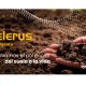 Celerus, el programa de Syngenta que busca devolverle la vida al suelo