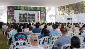 Piura 2024 cierra con un análisis sobre los retos productivos y comerciales de la uva de mesa