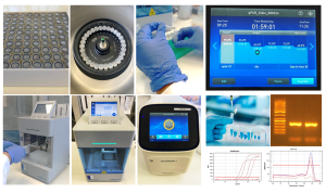 Agroadvance, empresa pionera en la implementación de biotecnología de precisión en el avellano europeo en Chile