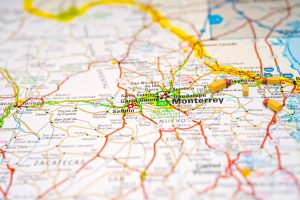 Hortalizas frescas todo el año