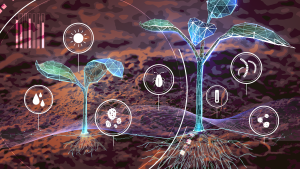 Nuevo curso de bionutrición y nutrición de alta eficiencia en cultivos agrícolas