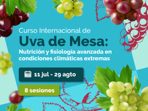 Curso capacita para enfrentar el impredecible clima en uva de mesa
