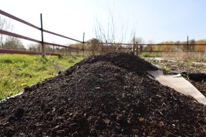 Biofertilizantes que se ajustan a los requerimientos de los productores