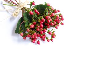 Expertos en la producción de flores de verano