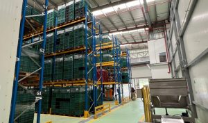 Multinacional portuguesa inaugura planta para producir aceite de aguacate en Pereira