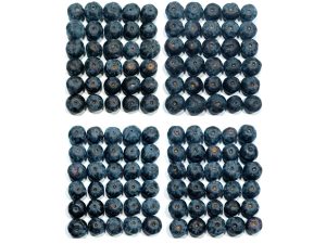 Combinación de tratamientos de poscosecha para mejorar la vida útil de la variedad Blue Ribbon