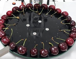 Atmósfera controlada en cerezas y su respuesta sobre algunos índices de madurez