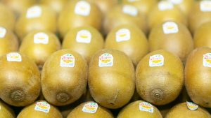 Exportaciones de kiwi de Nueva Zelanda crecieron 20% y alcanzaron nuevo récord