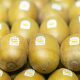 Exportaciones de kiwi de Nueva Zelanda crecieron 20% y alcanzaron nuevo récord