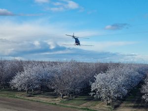 Inédita tecnología biopolinizante busca complementar el vuelo de abejas en cultivos de alto valor