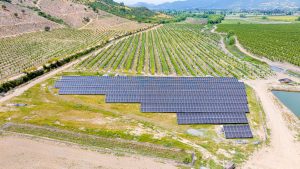 GEOM soluciones energéticas para la industria agrícola