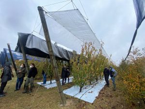 Tecnología mundial del plástico agrícola convocada a Chile