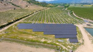 GEOM, soluciones energéticas para la industria agrícola