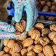California: proyectan que cosecha de nueces de 2024 caerá 19%