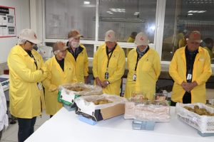Productores neozelandeses de kiwi visitan Chile como parte de colaboración entre ambas industrias