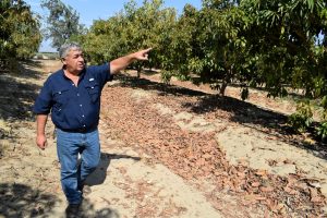 Agrovision: “Tenemos un programa de plantación agresivo”