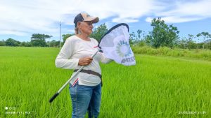 El impacto de AMTEC en los pequeños agricultores de Caucasia, Antioquia