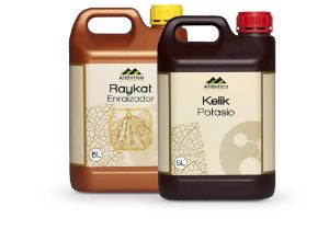 Ayuda en la etapa final al desarrollo del calibre en palto