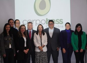 Corpohass, Finagro y el sector financiero se unen para beneficiar a más de 3.500 productores de aguacate Hass en Colombia