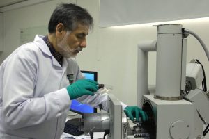 Desarrollan algoritmo de inteligencia artificial para mejorar producción agrícola