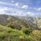 Encadenamientos productivos sostenibles: esencia del sector colombiano del Aguacate Hass