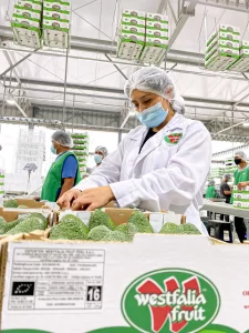 Westfalia Fruit reafirma su compromiso ambiental y logra compensar 2.869 toneladas de CO₂