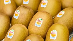 Del arancel a la cooperación: cómo el TLC con India abre una nueva etapa para el kiwi de Nueva Zelanda