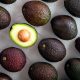 Producción de palta a nivel mundial creció 4% en 2023 y Chile se ubicó como el cuarto principal consumidor