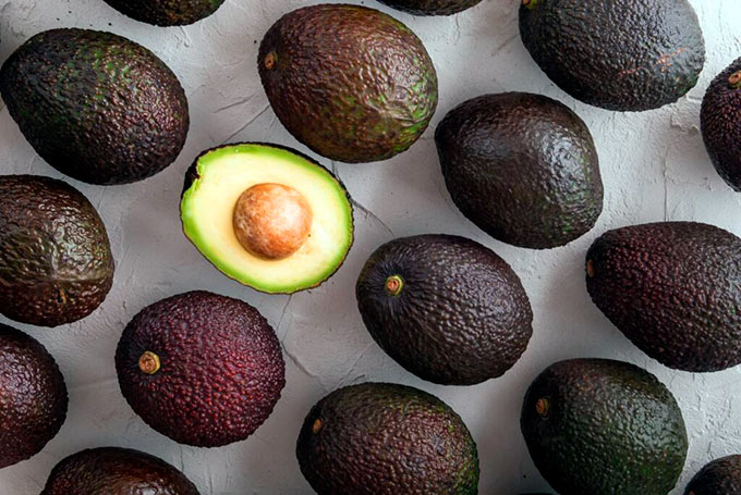 Congreso Latinoamericano de la Palta 2025 reunirá ciencia, innovación y mercado